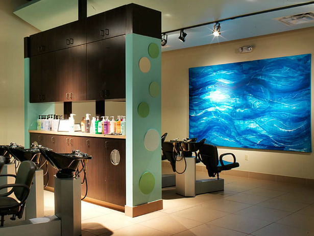 Salon Hair Washing Stations