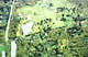 Aerial rendering of Grace Farms. Image courtesy of Grace Farms and SANAA