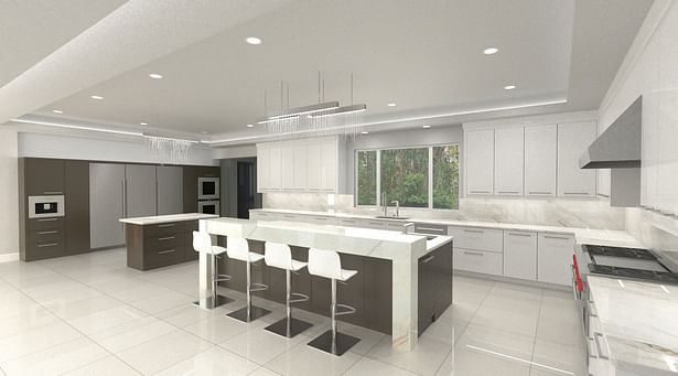 Kitchen Rendering