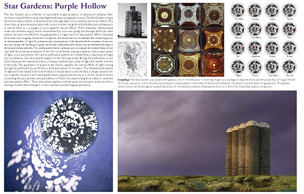 Special Mention/Infrastructural Transformation: Star Gardens: Purple Hollow, Clark M. Thenhaus, USA