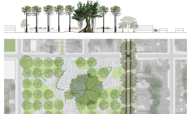 Detail plan and section of larger plaza along the Bombacaceae corridor providing urban relief integrating the intricacies of the individual trees