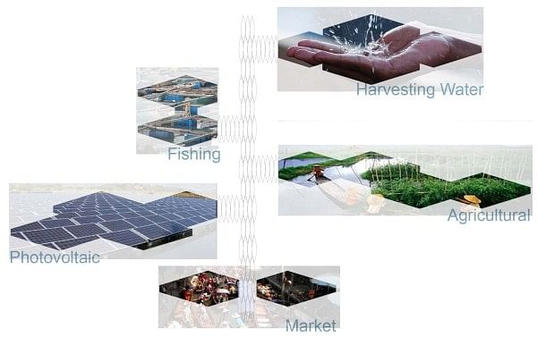 5 disciplines which are Market, Photovoltaic, Agriculture, Fishing, and Water Harvesting