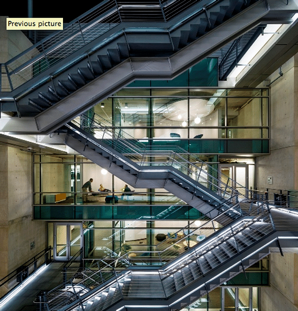 Photograph of completed stair.