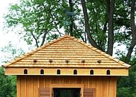A Dovecote/Toolshed