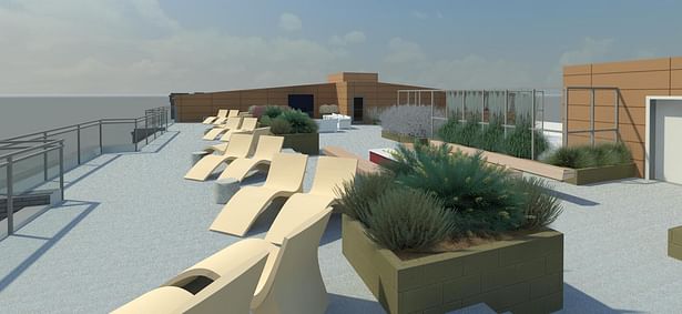 Roof Terrace