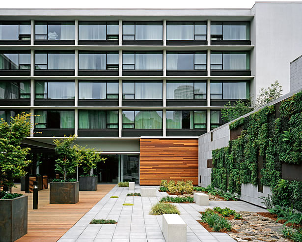 The living wall with native vegetation.