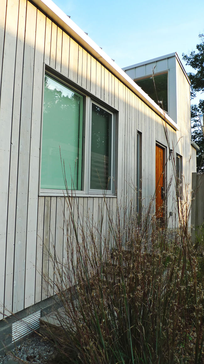 The late summer texture and color of Little Bluestem (Schizachyrium scoparium) complement the colors of the home