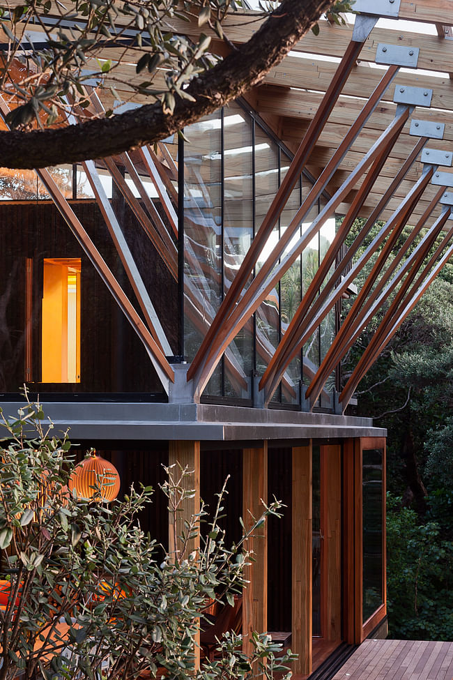 Under Pohutukawa at Piha, a house by Herbst Architects. Photo courtesy of the New Zealand Exhibition