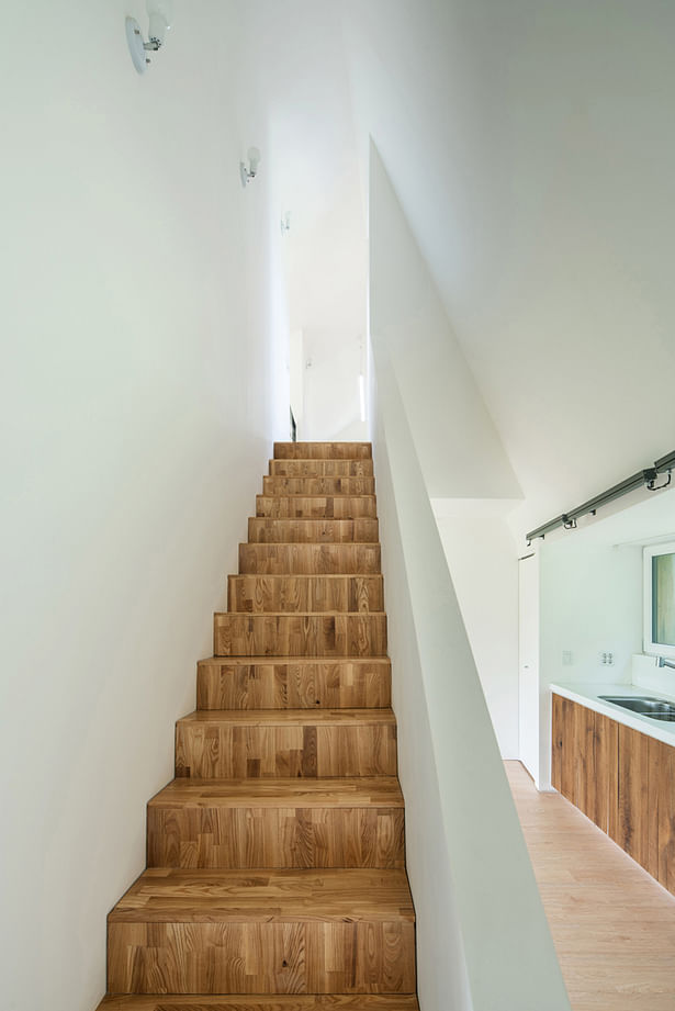 Shear House by stpmj, Photo: Song Yousub