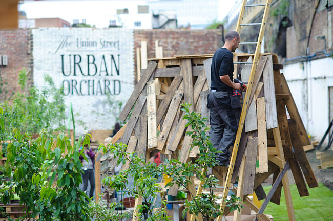 Photographs depicting last years’ Union Street Urban Orchard, produced by the same team as the Urban Physic Garden. Photographs copyright Mike Massaro.