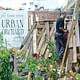 Photographs depicting last years’ Union Street Urban Orchard, produced by the same team as the Urban Physic Garden. Photographs copyright Mike Massaro.