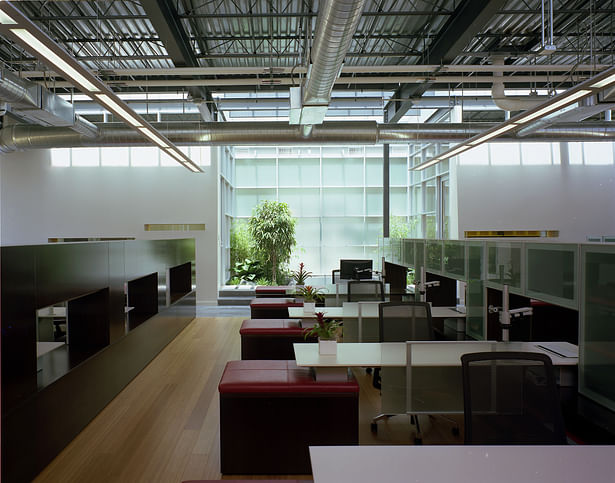 Another band of glass, this time in plane with the roof, fills a landscaped space. The high ceilings, open workspace and furniture design respond to staff circulation patterns and stimulate communication with transparency. Opaque barriers are absent while personal space is retained. (photo by Greg Murphey)