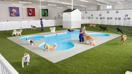 Rendering of the Paradise 4 Paws doggie play area at the upcoming ARK animal terminal in the JFK International Airport in New York. Image: Paws 4 Pets, via huffingtonpost.com