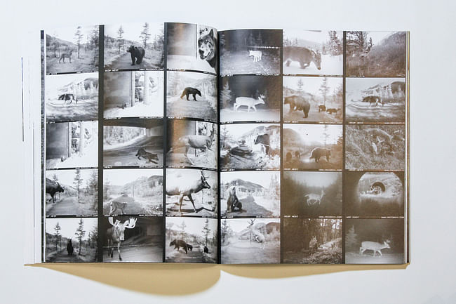 Spread from 'WILD'. Image courtesy of LA+