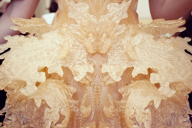 HYBRID HOLSIM DRESS Photograph - ©Sophie van der Perre