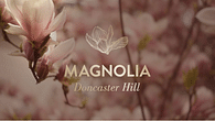 Magnolia Marketing 