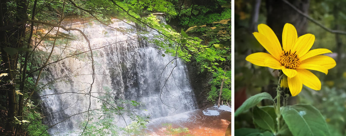 Howard Waterfall Retreat