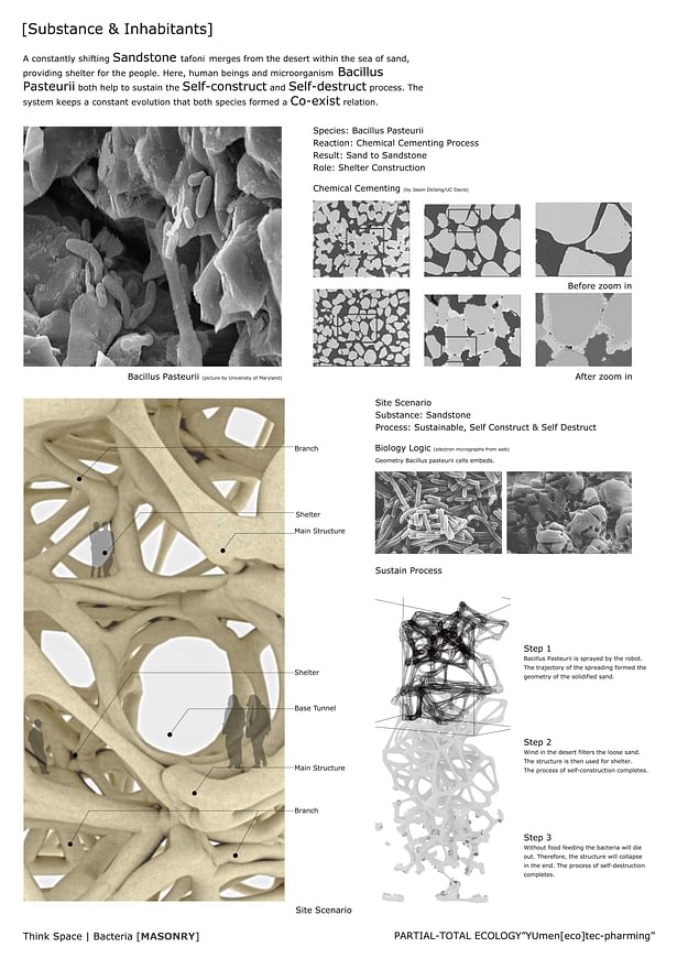 Species + Bio-Ecological Reference