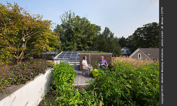 The uppermost terrace includes shade trees, vegetable garden and hang-out space overlooking the solar array.