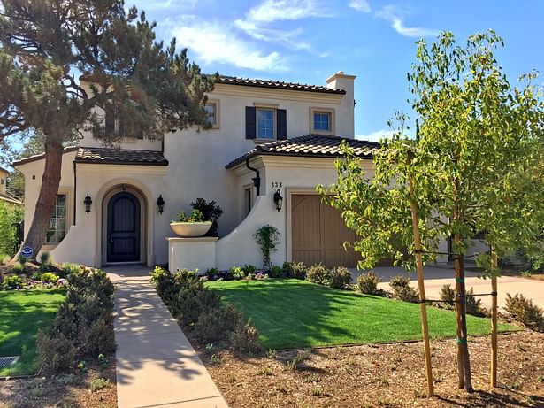 After- Front yard with large Pine Tree to remain (9/27/2016).