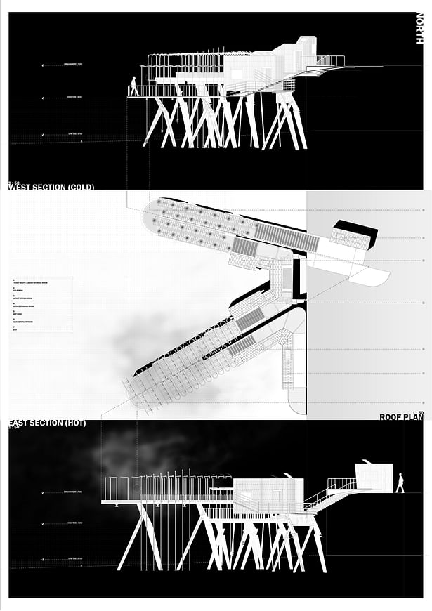 Elevations + Plan