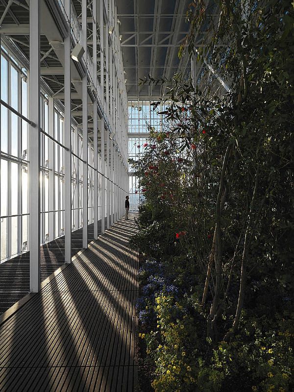 The greenhouse at the top of the Intesa Sanpaolo Skyscraper. Photo: Enrico Cano, via Renzo Piano Building Workshop. 