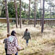 Hostel Wadi in Hoge Rielen in Kasterlee, Belgium by Studio Associato Bernardo Secchi - Paola Viganò . Photo: Frederik Buyckx.