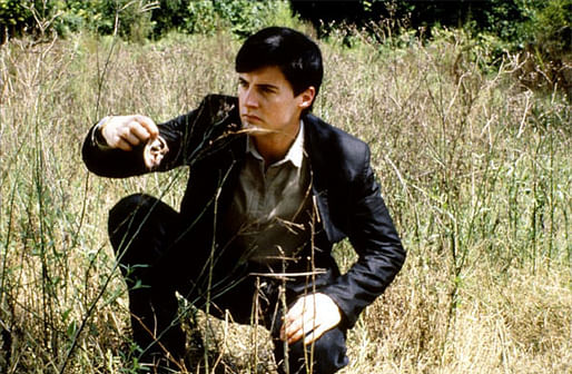 Image: 'Jeffrey returns to his home town from College to visit his father in hospital. On his way back from the hospital he happens to find a severed ear in the overgrown fields behind his home.' Blue Velvet (1986), David Lynch. @De Laurentiis Entertainment Group