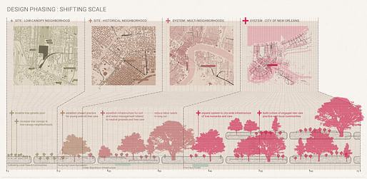 ASLA 2022 Student Awards Analysis & Planning Award of Excellence. Street Trees of New Orleans - Rethinking Tree Practices for a Fluctuating City, New Orleans, Louisiana. The Ohio State University/ Kerry Leung 