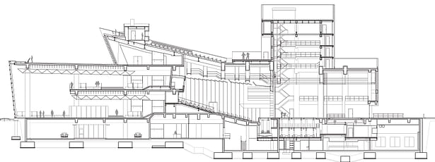 longitudinal section