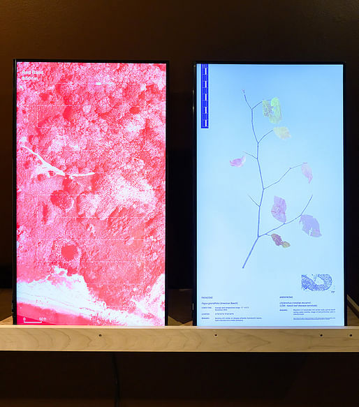 Installation view. Image: courtesy of Harvard GSD