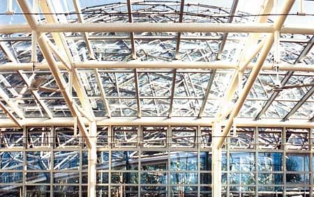 Temperate House Curtain Wall Leaks Investigation