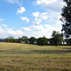 Pastoral lakefront landscape