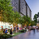 Urban Habitat: District/Master Plan Scale Category Winner: Central Park, Sydney. Photo: Dig It Photography.
