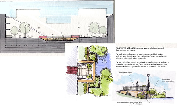 Cross section and details of the wetland bordering the E-W axial boulevard.