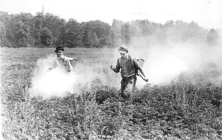 Happy farmers spraying crops with DDT to kill Colorado potato beetles. Credit: WikiCommons