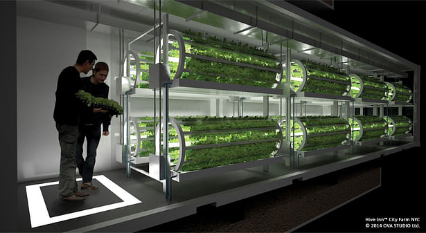 Fresh from the sky: HIVE-INN™ CITY FARM JUST LANDED IN NEW YORK. Hive-Inn™ City Farm is a modular farming structure where containers are designed and used as farming modules and acts as an ecosystem where each unit plays a role in producing food, harvesting energy and recycling waste and water.