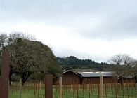 Ball Winery