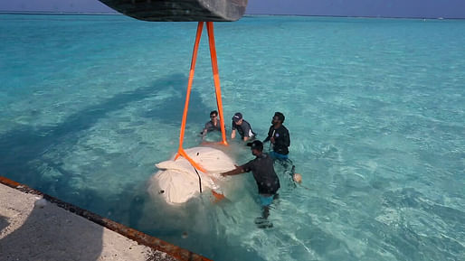 Placing the bladders underwater - Field Experiment 1(Feb 2019) Image still courtesy of MIT/Self-Assembly Lab. 