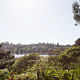 View of the Silverlake Reservoir from the third story deck. Photo by Diana Koenigsberg (www.dianakoenigsberg.com)