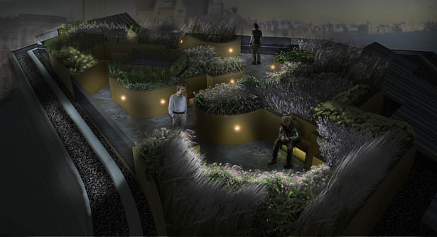 Davis Landscape Architecture Wapping London Residential Roof Garden Landscape Rendered Visulisation Night