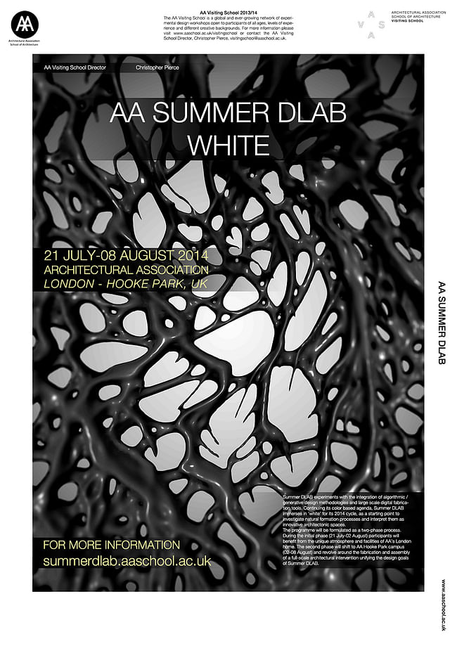 AA Summer DLAB 2014 poster.
