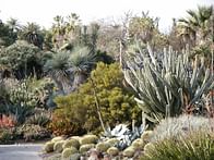 What would happen if LA replaced all its lawns with drought-tolerant landscaping?