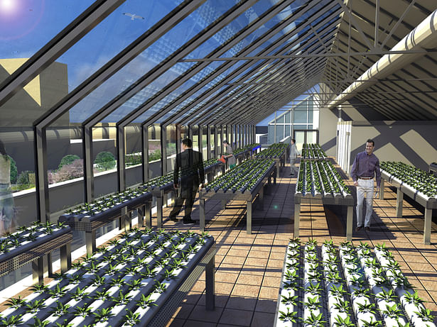 Commercial rooftop greenhouses leased to offset common expenses