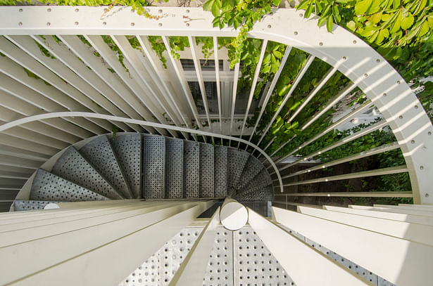 Corkscrew stairs from above 