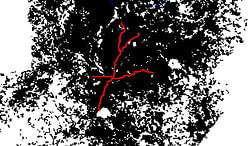 Wowza: Scale Maps of Barcelona and Atlanta Show the Waste of Sprawl