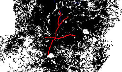 Wowza: Scale Maps of Barcelona and Atlanta Show the Waste of Sprawl