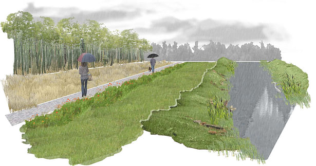 Tributary Perspective - Pedestrian Path and Created Wetland