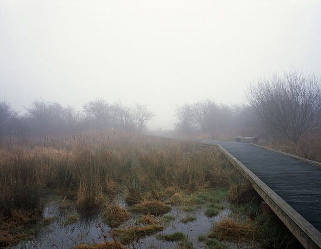 SPECIAL MENTION: Opening of Rainham Marshes, London, United Kingdom - 2014. AUTHORS: Peter Beard_LANDROOM | Peter Beard, Alexander Gore, Sabba Khan, Dingle Price, Gregory Ross, Mark Smith, Keita Tajima 