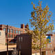 Rear exterior of Bancroft School project. Photo credit Chad Jackson Photography.